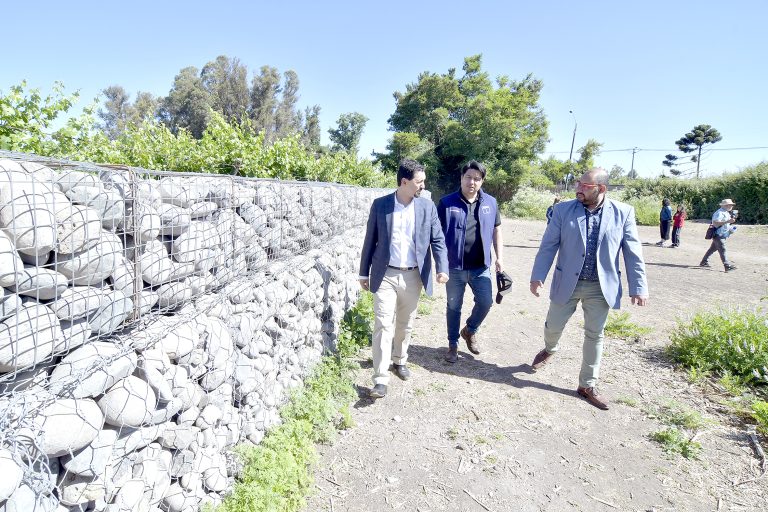 Como un gran paso califican crear un depósito arqueológico regional