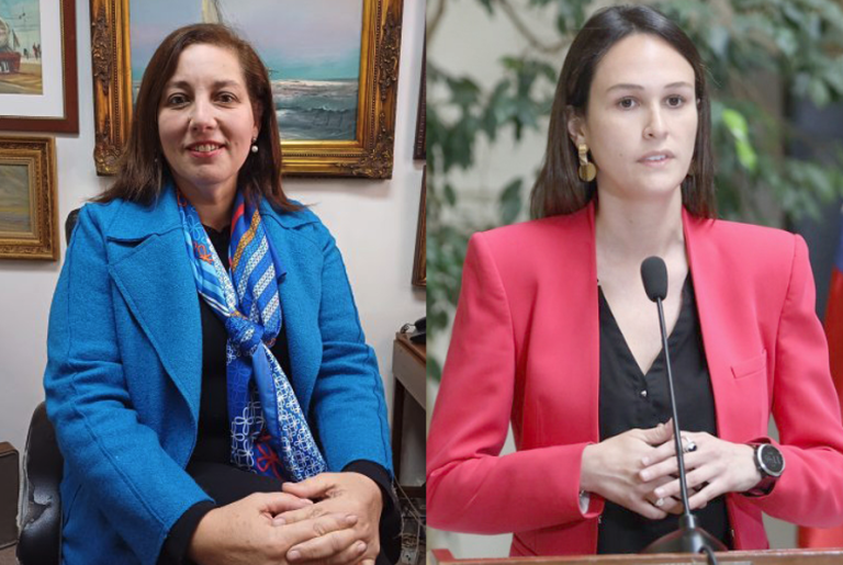 Parlamentarias del Maule en picada  frente a funcionarios públicos viajeros