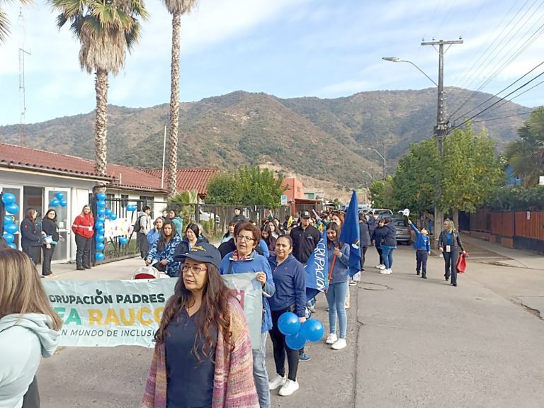 Agrupación de Padres Tea de Rauco vive complicada situación económica