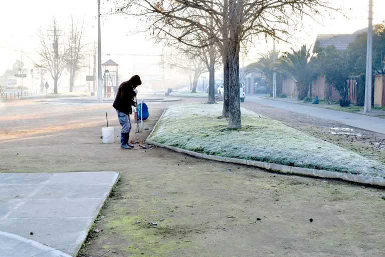 Experto advierte que ola polar afectará a toda la Región del Maule