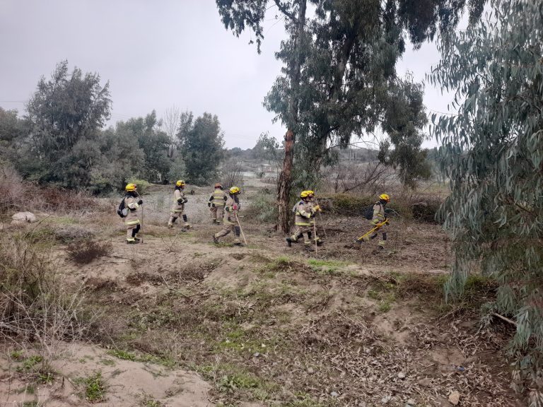 Búsqueda en Puente Loncomilla y otros sectores del río continuará hasta descartar existencia de auto de concejala