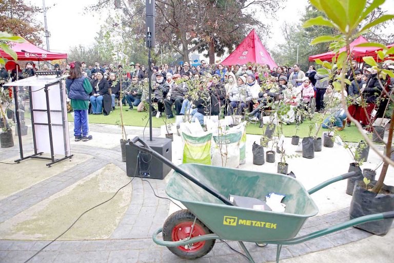Con plantación de 50 árboles nativos se  Celebró día mundial del medio ambiente