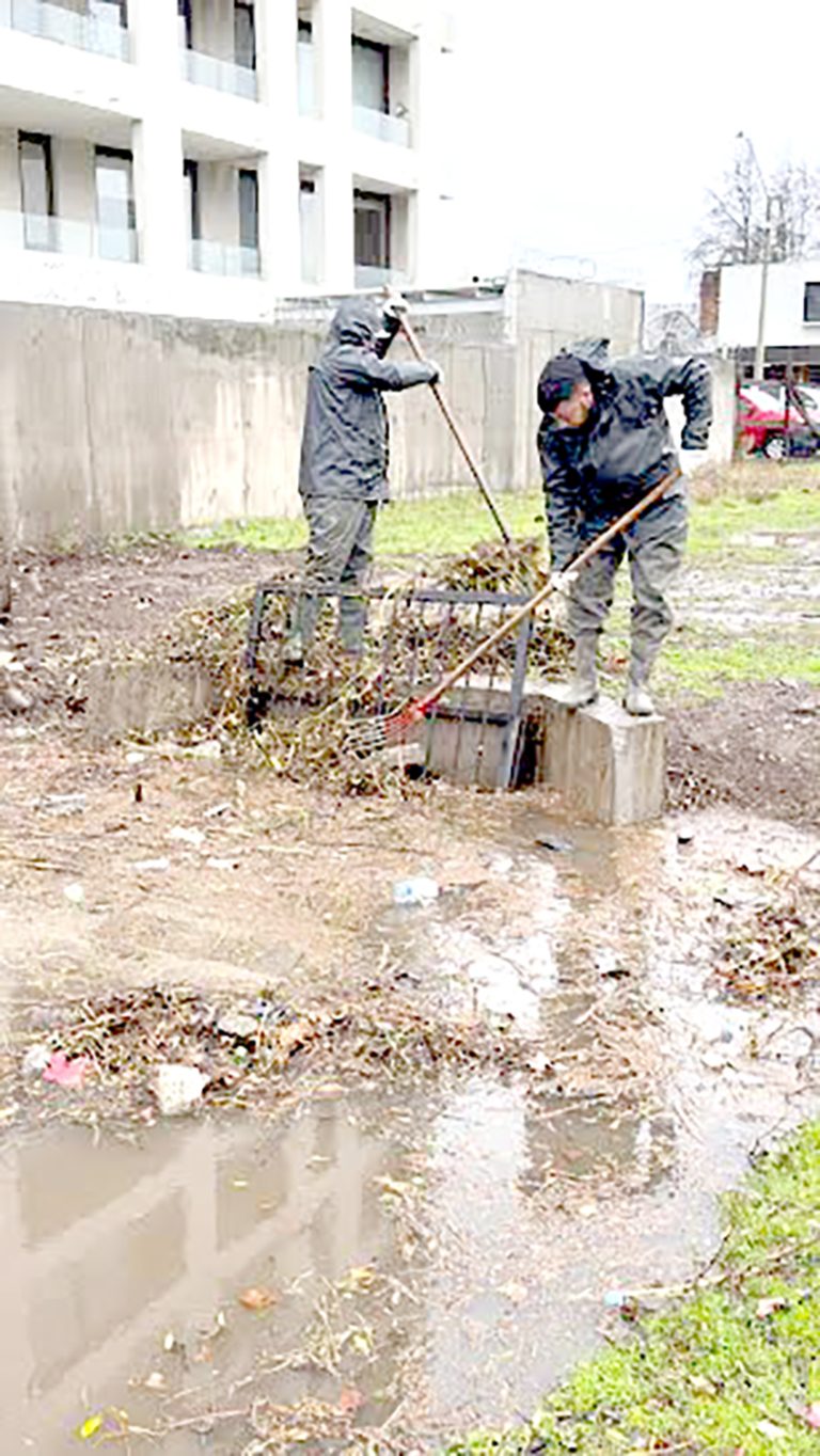 Municipio curicano pide más apoyo a la ciudadanía y aplicación de multas