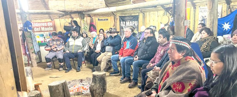 La familia Chemamüll ya tiene su reseña en parque fluvial de Constitución