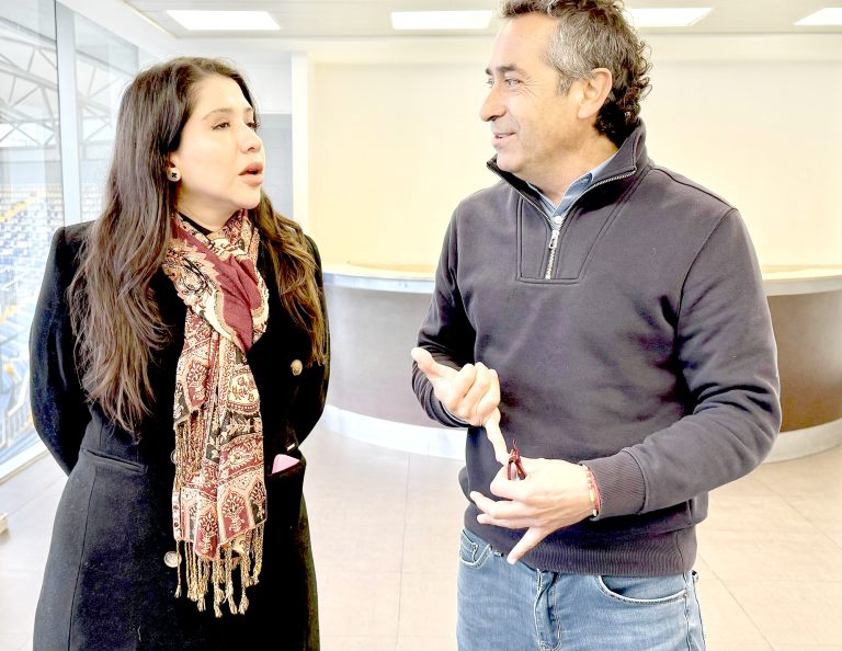 Diputados del Maule  piden acelerar votación  del posnatal extendido