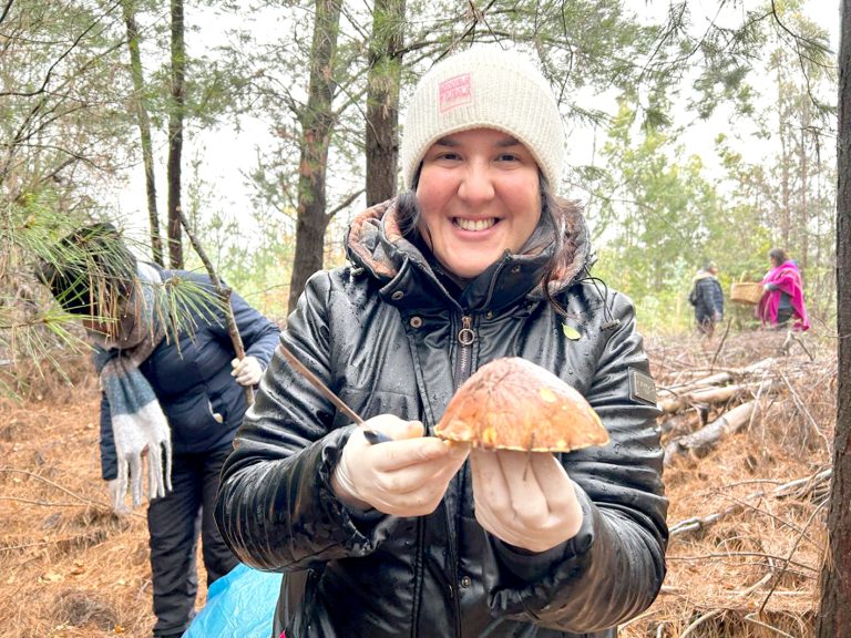 Excursión de Fungiturismo 2025 reunió a entusiastas en los bosques de Empedrado