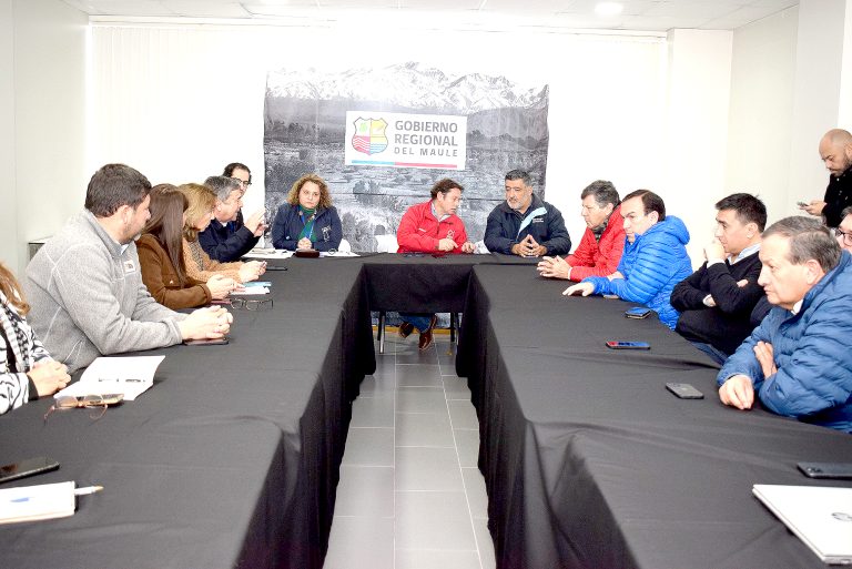 Cerca de 50 proyectos eléctricos detenidos  generan crisis energética en el Maule