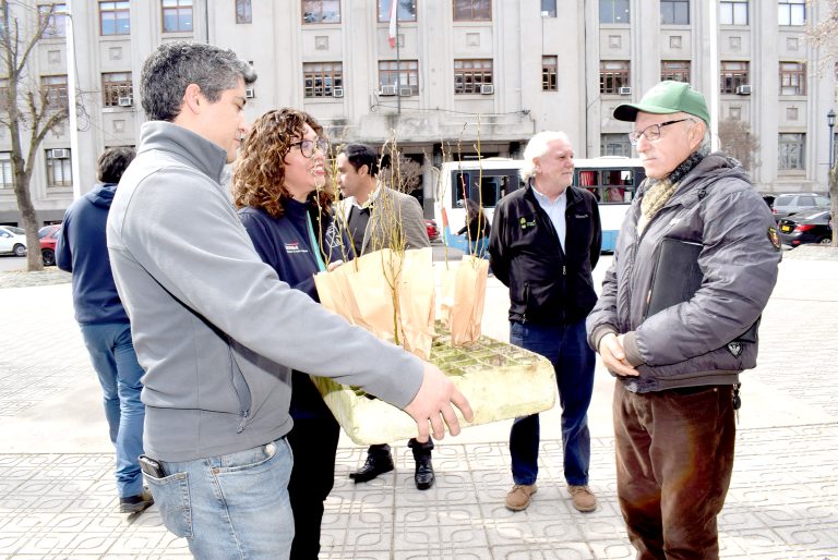 Municipios de Empedrado y Curepto diseñarán Planes de Acción Comunal de  Cambio Climático preservando al Ruil