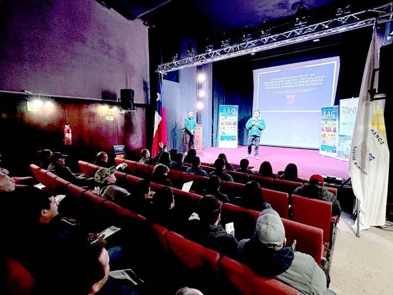 SAG decretó plaga nacional al nematodo que ha afectado fuertemente a frutilla de costa maulina