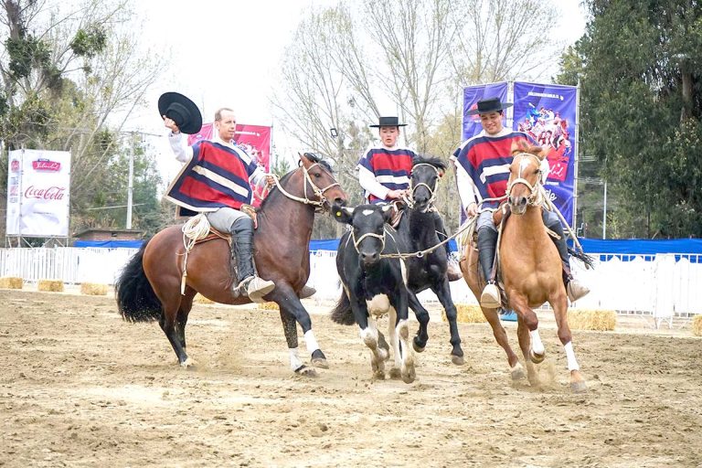 Tercera Versión de Fiesta de la Chilenidad  sorprenderá con tres shows ecuestres