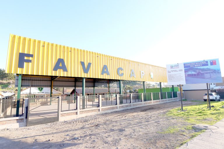 En etapa de recepción proyecto de recinto deportivo de Club Favacap