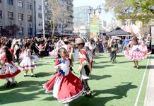 Ya se viven las Fiestas Patrias en el Maule y comerciantes esperan aumento en sus ventas