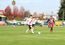 Mentalizados en Antofagasta