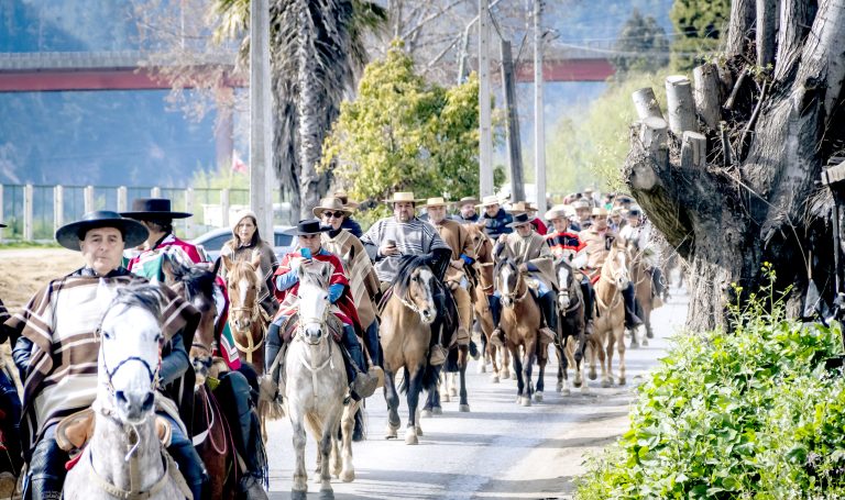 Cabalgata de la Amistad 2025 honró la identidad campesina de Constitución