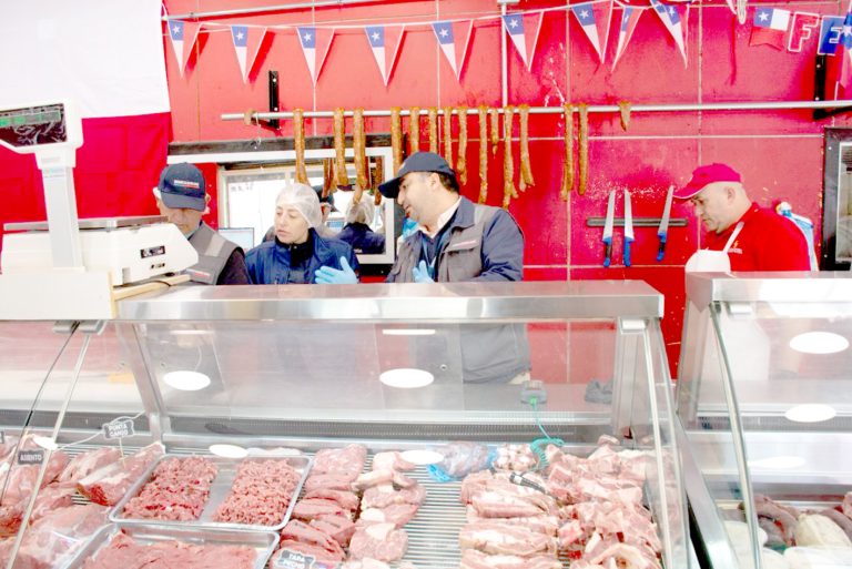 Seremi de Salud del Maule intensificó fiscalizaciones en Constitución por celebraciones de Fiestas Patrias