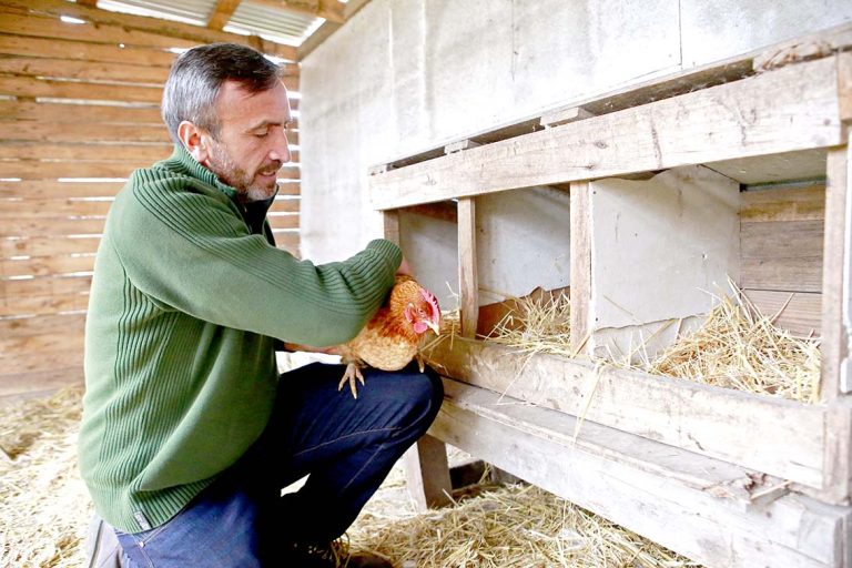 Por primera vez un diputado desaforado se postula a senador tras lograr 2.211 firmas que lo respaldaron ante el Servel
