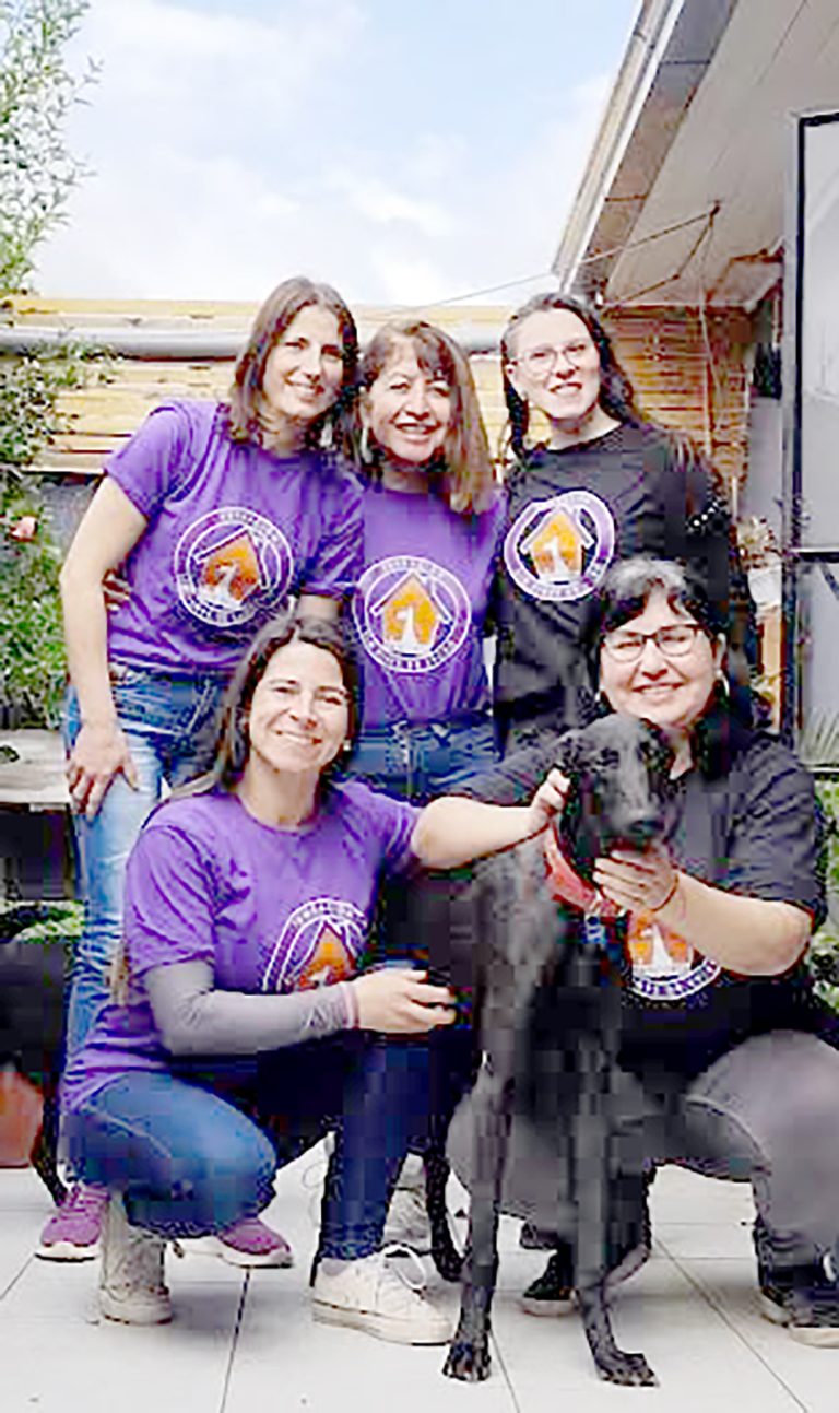 CaminaDog: Promoviendo la actividad física y tenencia responsable de mascotas