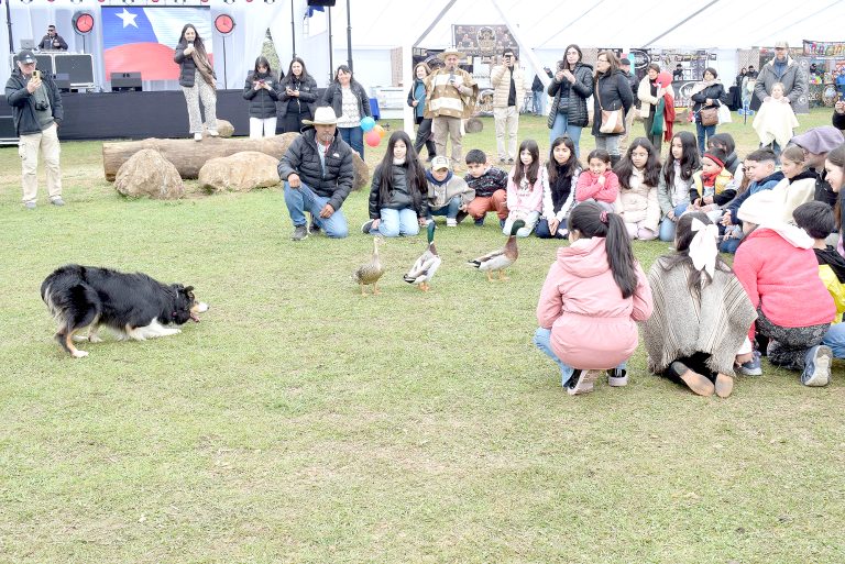 El frío y la distancia no  fueron impedimentos para celebrar la chilenidad
