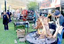 Gran asistencia de público ha tenido la Fiesta de la Chilenidad