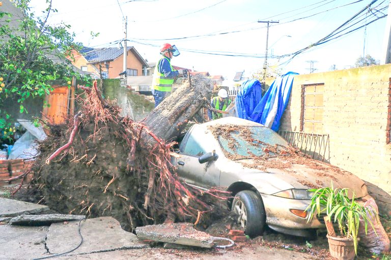 Linares fue la comuna más afectada en el país por paso de intenso sistema frontal: Gobierno aceleró ayudas