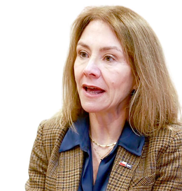 Susana Jiménez: “El Maule es clave para el futuro productivo y energético del país”