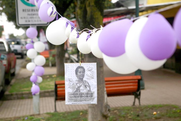 Presidente nacional de la DC anunció  querella por la desaparición de la concejala María Ignacia González