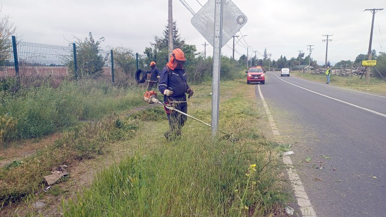 Comunidad agradece trabajos de limpieza en caminos y áreas verdes de la comuna