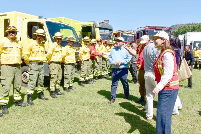 Se presentó Plan de Prevención, Mitigación y Control de Incendios Forestales para el Maule