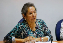 En medio de pena e incertidumbre, se cumplen cuatro meses de desaparición de concejala de Villa Alegre