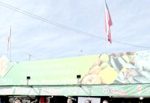 Felicur busca transformarse en “la primera feria autosustentable” de Chile en el ámbito eléctrico