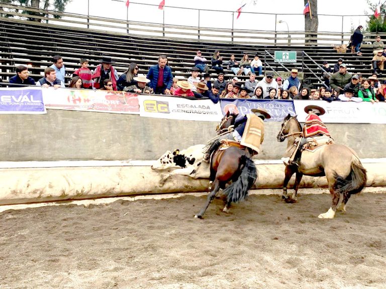 La Asociación Curicó abre la medialuna  para el esperado Rodeo Zonal Centro