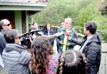 Catastro de formaciones vegetacionales de Conaf señaló que en los últimos 8 años hubo una pérdida de 4.907 hectáreas