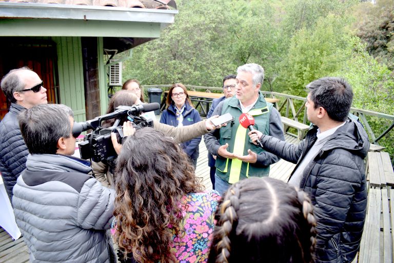 Catastro de formaciones vegetacionales de Conaf señaló que en los últimos 8 años hubo una pérdida de 4.907 hectáreas