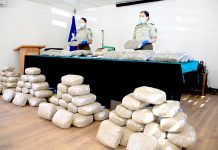 Persecución terminó con millonario decomiso de más de 100 kilos de droga