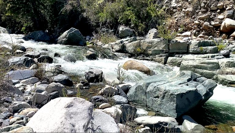 Tan solo el 1.5% de todo  el territorio de la Región del Maule está protegido
