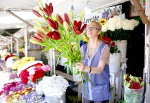Día de Todos los Santos se celebra en la capital regional del Maule