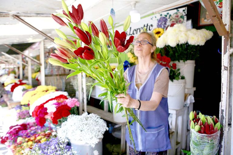 Día de Todos los Santos se celebra en la capital regional del Maule
