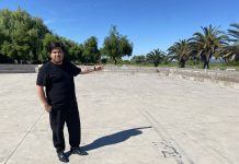 Proponen trasladar parte de la Feria de las Pulgas hacia Parque Aguas Negras