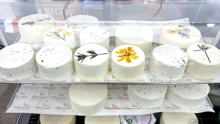 16 empresas campesinas  del Maule forman parte  de nueva versión de  Expo Mundo Rural 2025