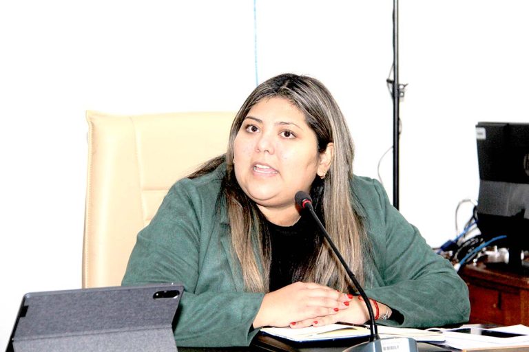 Concejala envía a Contraloría bases de licitación de sistema de parquímetros