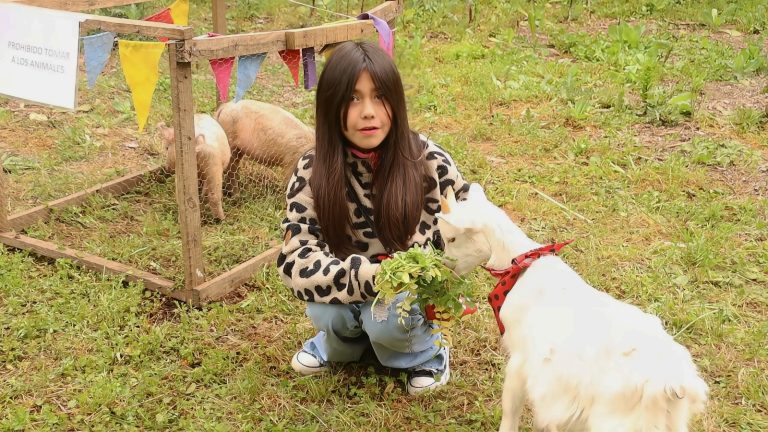 Animales, tradiciones y ambiente familiar en la Granja Fest