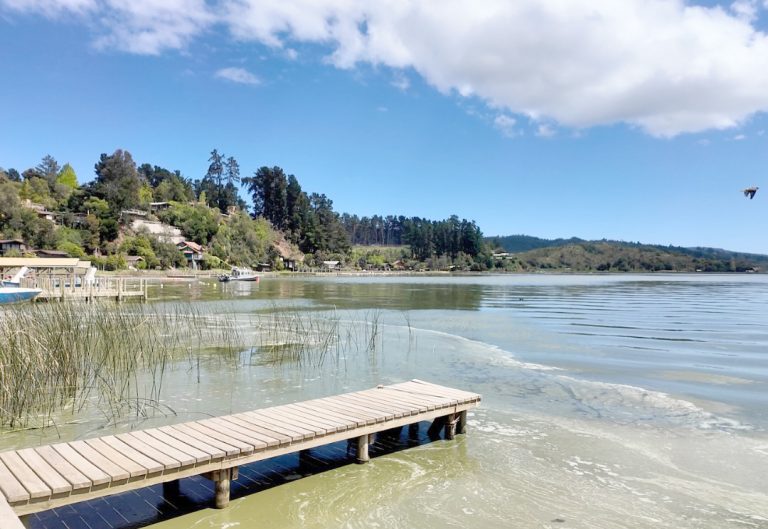 Académico aborda  actual condición  que presenta el  lago Vichuquén