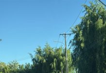 Mañana será formalizado conductor  responsable de fatal accidente de tránsito