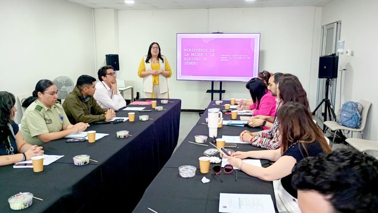 El Maule registra 12 femicidios frustrados y 2 consumados