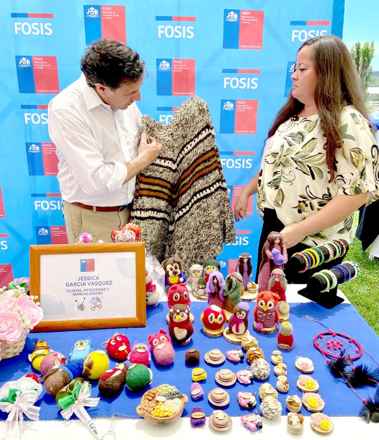 El Fosis sigue siendo la institución más reconocida por apoyar emprendimiento