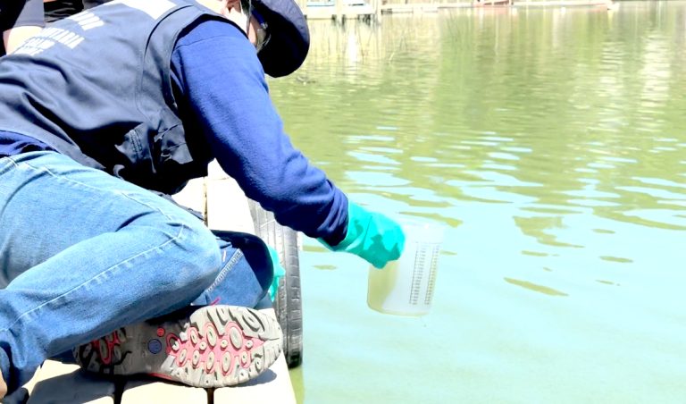 Seremi de Salud llamó  a “no sumergirse” en  el lago Vichuquén:  “No tenemos la certeza de qué elementos  contiene dicha agua”