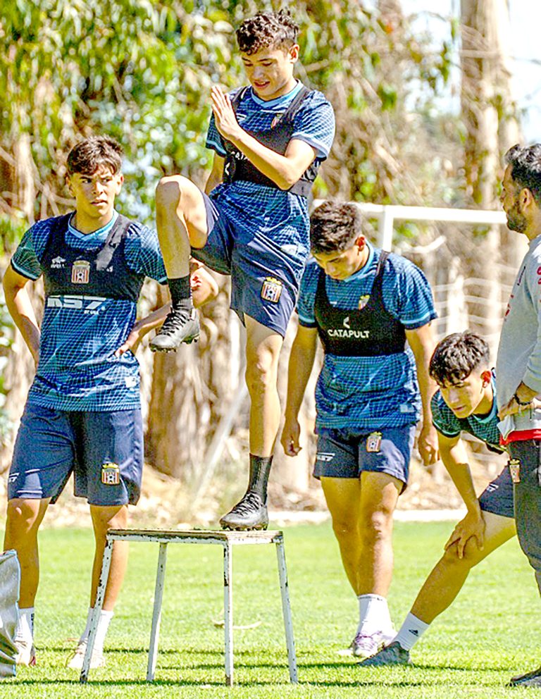 “Todavía les falta en el proceso de maduración”