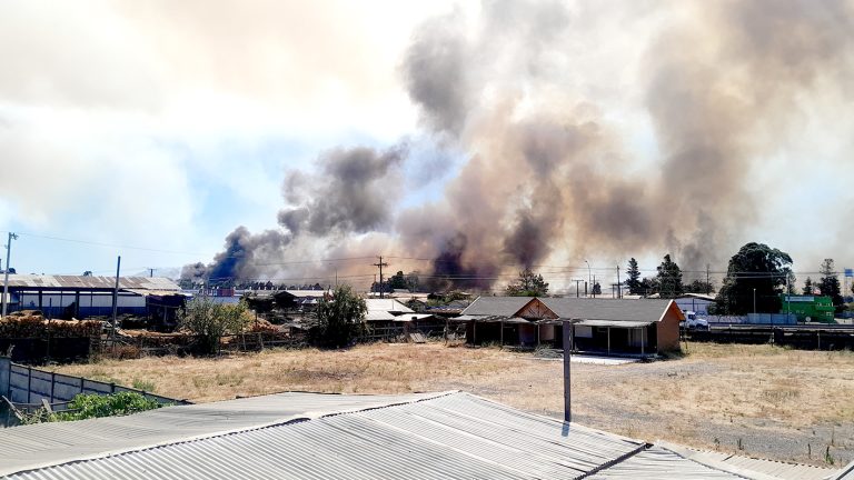 Más de 1.100 hectáreas afectadas lleva incendio en Maule y dos focos activos mantienen Alerta Roja