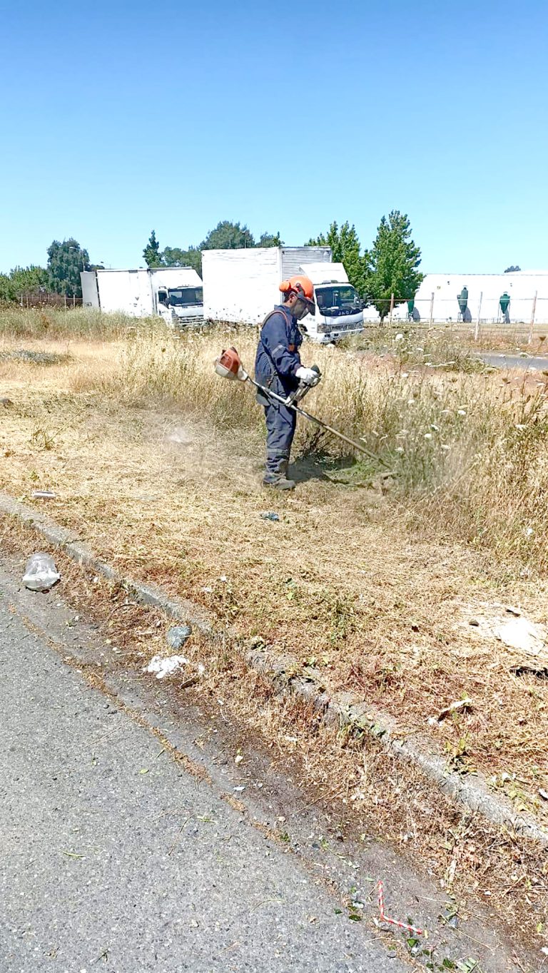 Aumenta trabajo preventivo para evitar incendios forestales