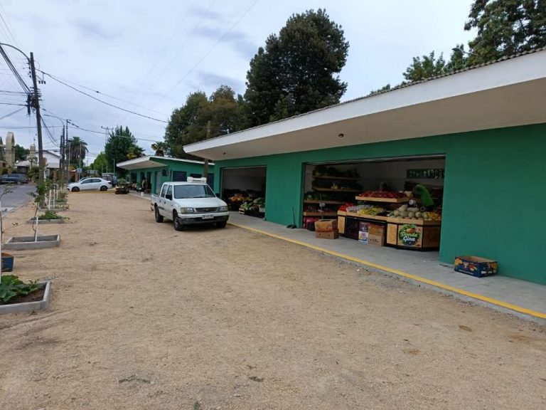 Feria Libre Diego Portales ya está funcionando en nueva infraestructura